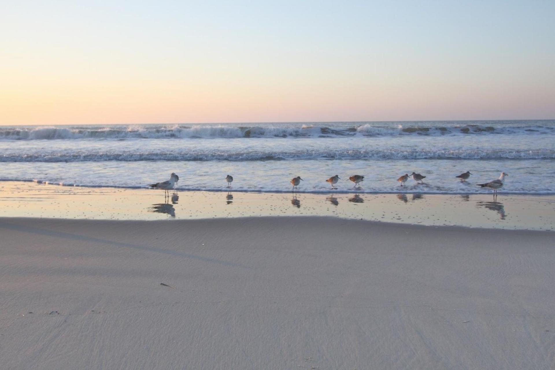 Serenity Folly Beach Exterior photo